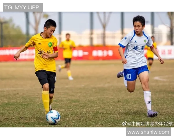 探索zw足球的魅力与发展潜力助力中国足球崛起新篇章